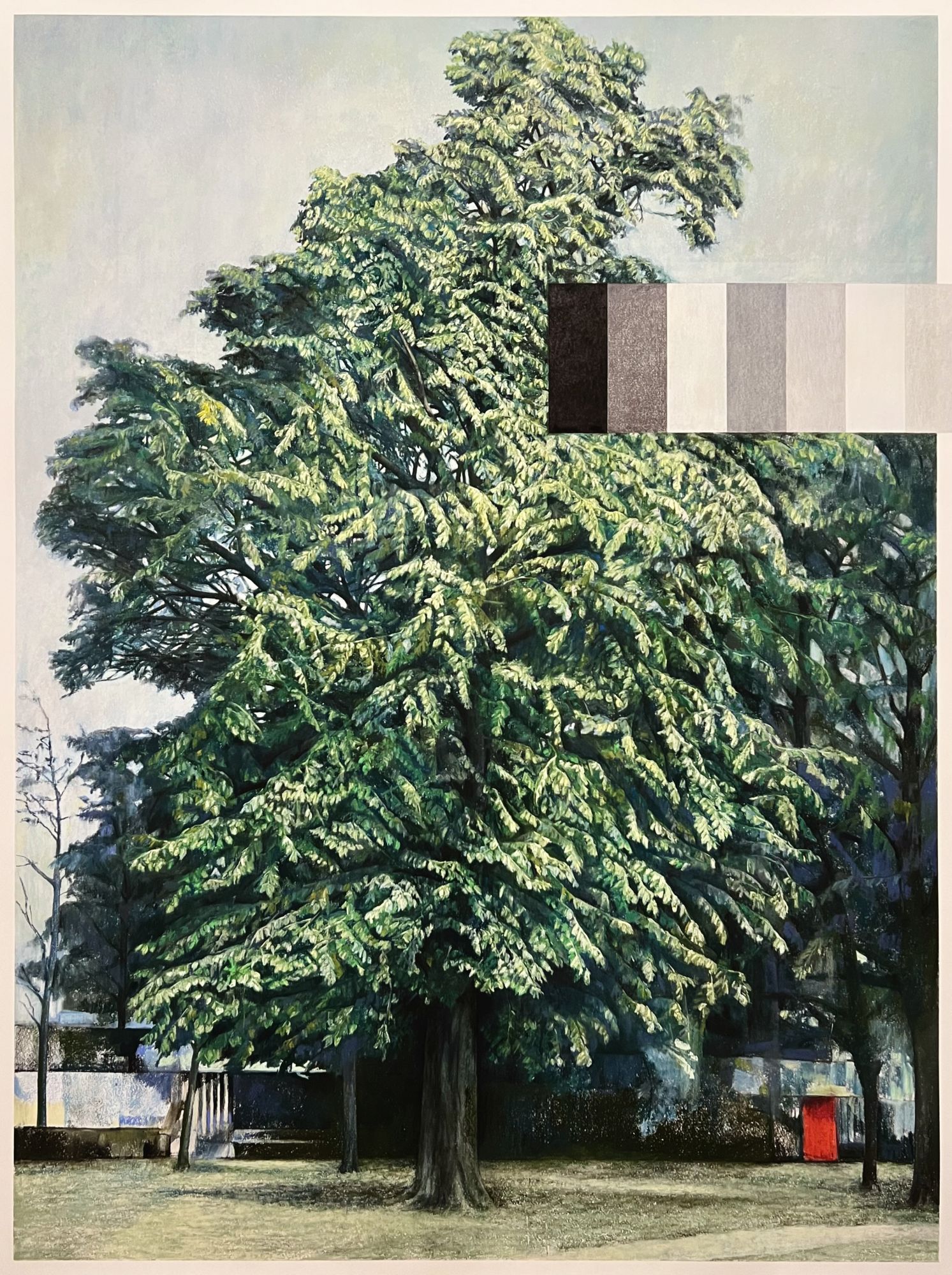 Home 6, Linden